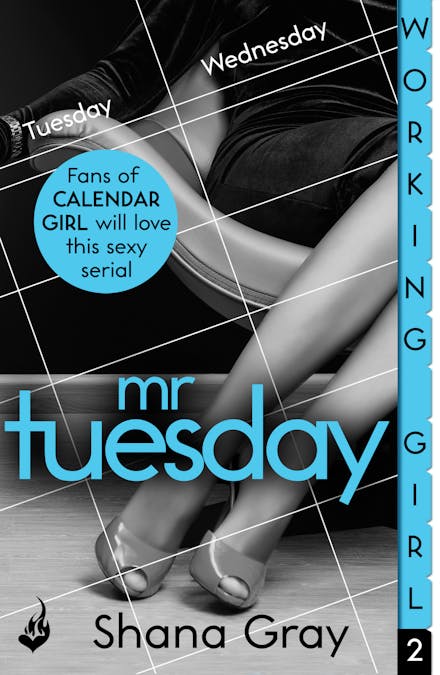 Working Girl: Mr Tuesday (A sexy serial, perfect for fans of Calendar Girl)