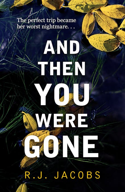 And Then You Were Gone