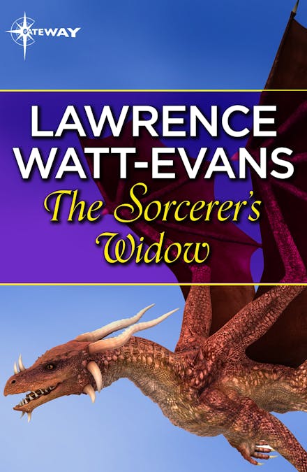 The Sorcerer's Widow