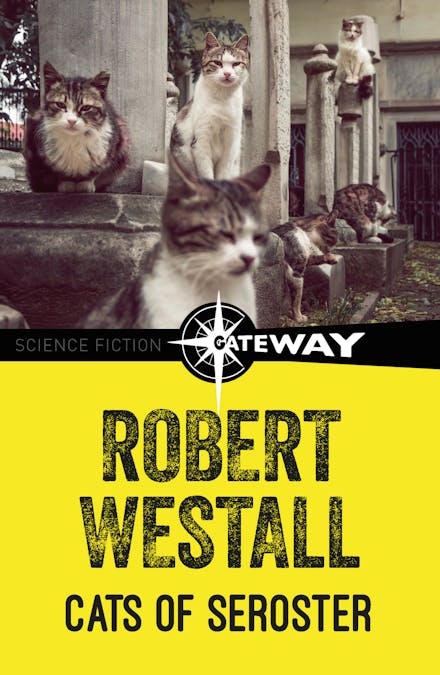 Cats of Seroster
