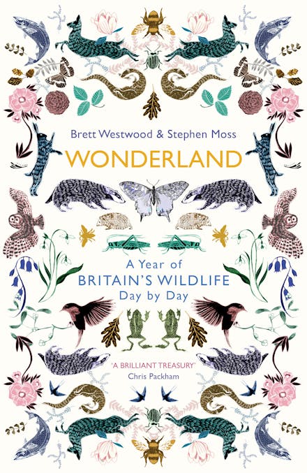Wonderland