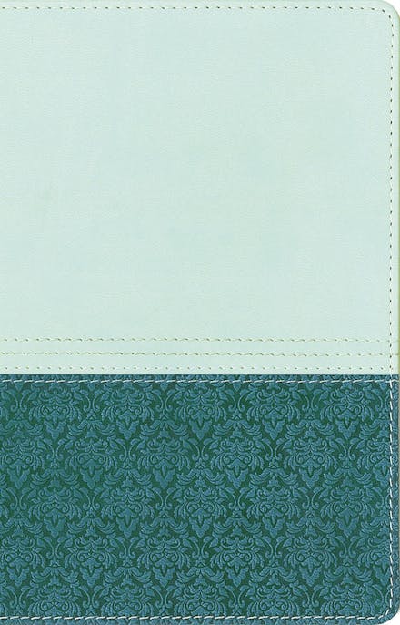 NIV Study Bible Sea Glass/Caribbean Duo-Tone Personal Size