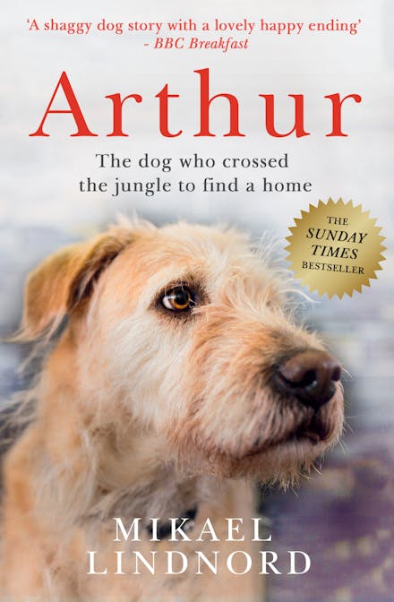 Arthur the King
