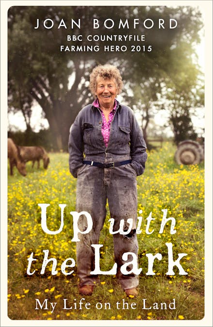 Up With The Lark