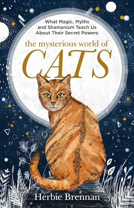 The Mysterious World of Cats