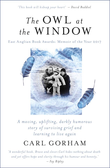 The Owl at the Window