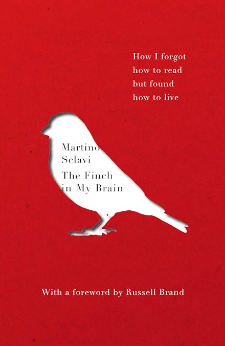 The Finch in My Brain