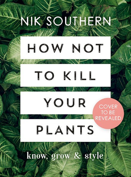 How Not To Kill Your Plants