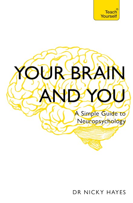 Your Brain and You