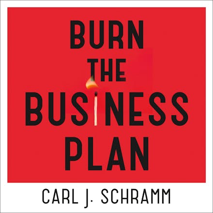 Burn The Business Plan