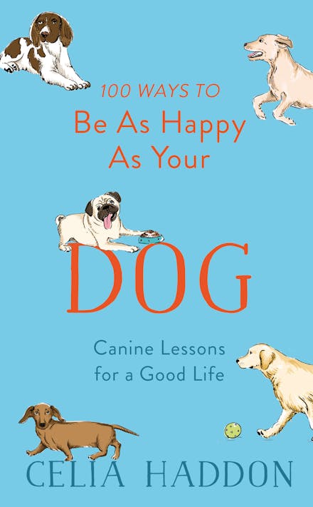 100 Ways to Be As Happy As Your Dog