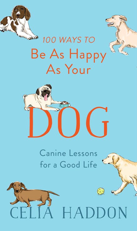 100 Ways to Be As Happy As Your Dog