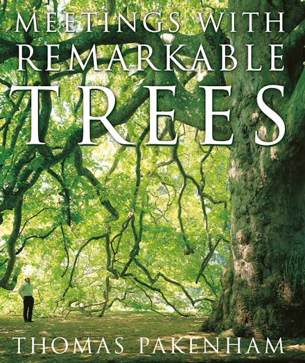 Meetings With Remarkable Trees