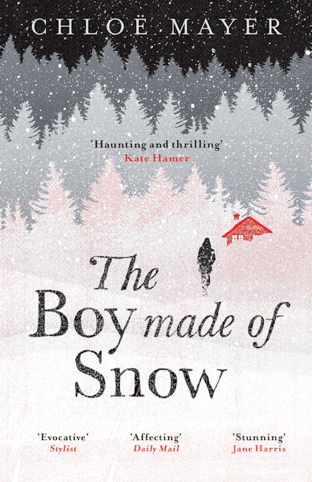 The Boy Made of Snow