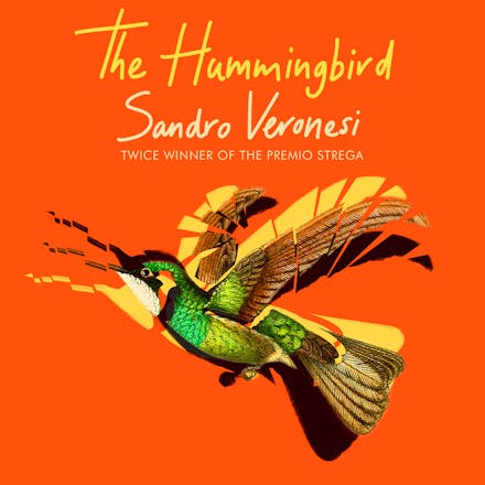 The Hummingbird