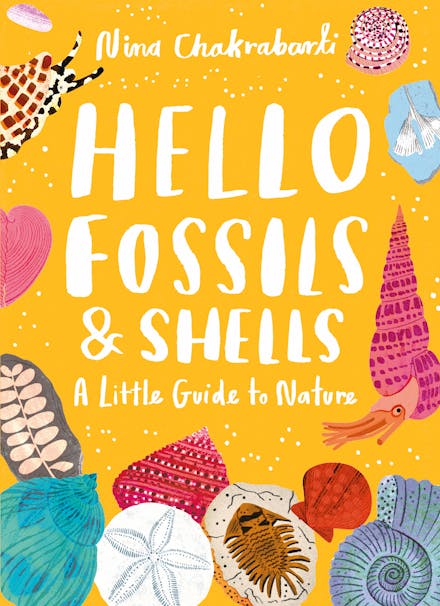 Little Guides to Nature: Hello Fossils and Shells