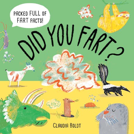 Did You Fart?