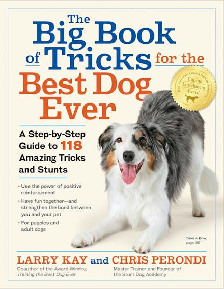 The Big Book of Tricks for the Best Dog Ever