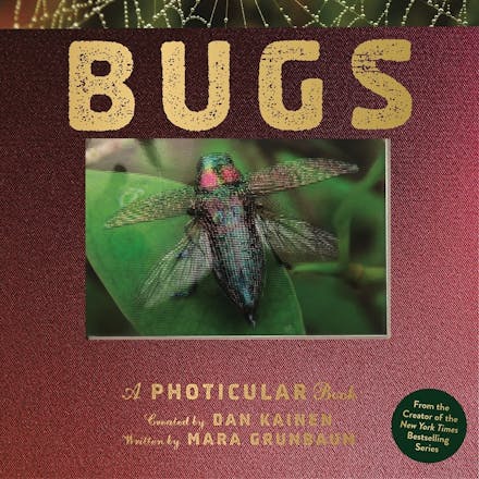 Bugs
