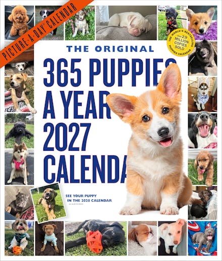 365 Puppies-A-Year Picture-A-Day  Wall Calendar 2027