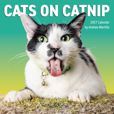 Cats on Catnip Wall Calendar 2027