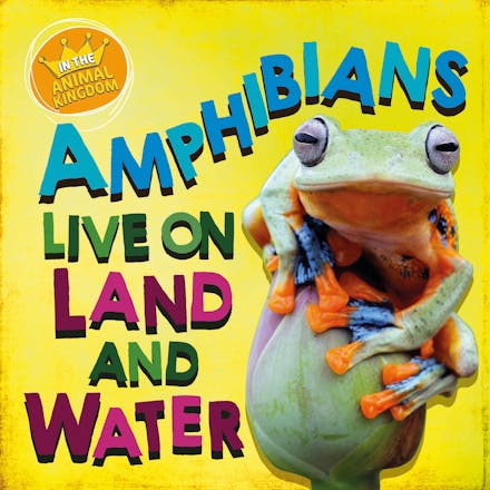 In the Animal Kingdom: Amphibians Live on Land and in Water