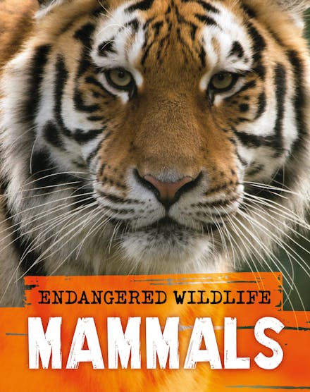 Endangered Wildlife: Rescuing Mammals