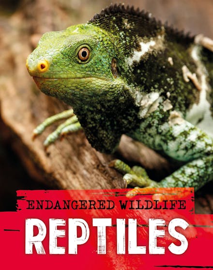 Endangered Wildlife: Rescuing Reptiles