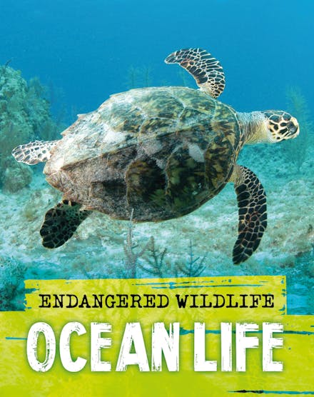Endangered Wildlife: Rescuing Ocean Life