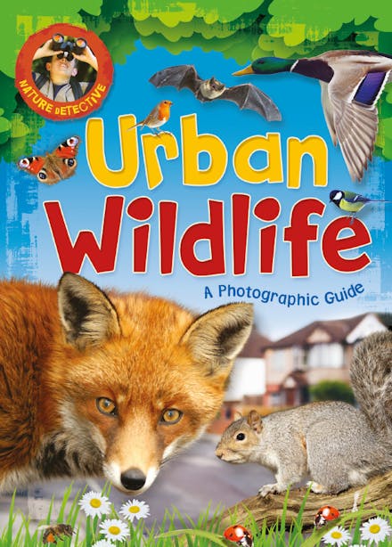 Nature Detective: Urban Wildlife