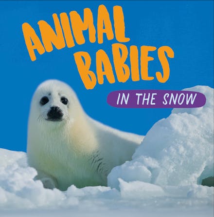 Animal Babies: In the Snow