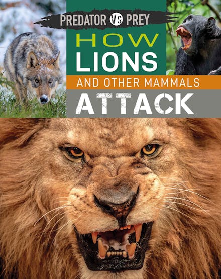 Predator vs Prey: How Lions and other Mammals Attack