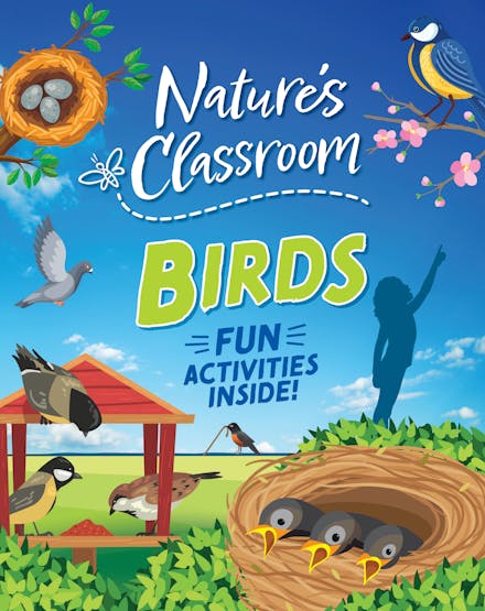 Nature's Classroom: Birds
