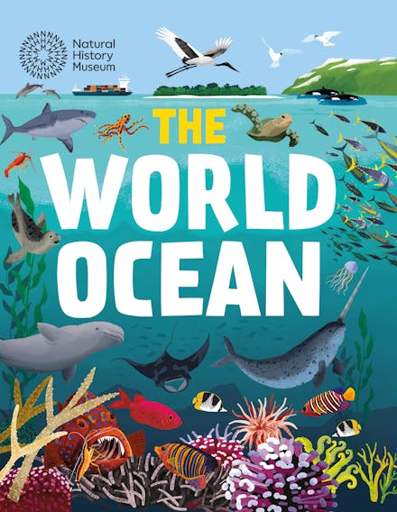 The World Ocean