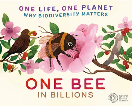 One Life, One Planet: One Bee in Billions
