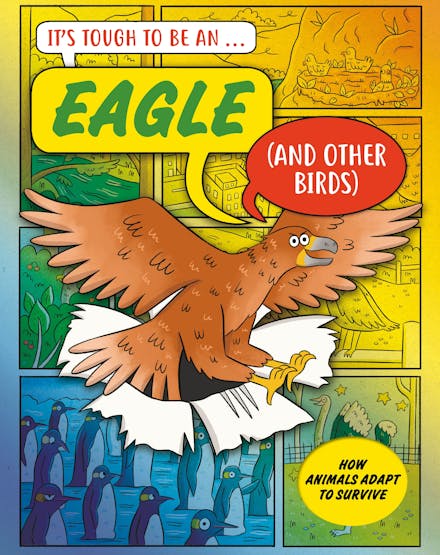It s Tough to Be: An Eagle (and Other Birds)