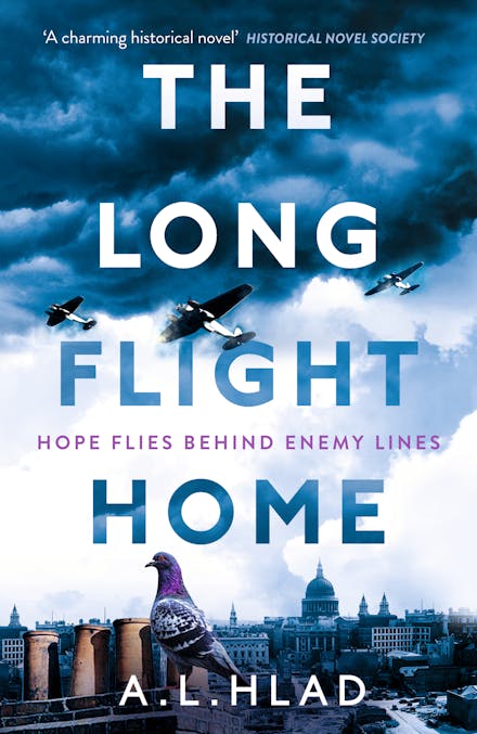The Long Flight Home