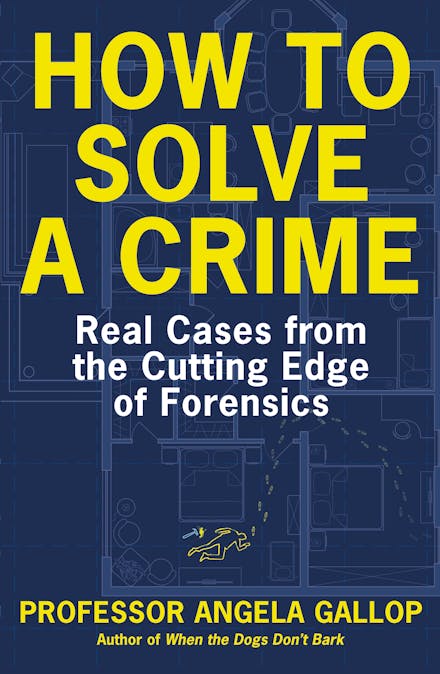 How to Solve a Crime