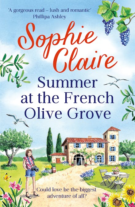 Summer at the French Olive Grove