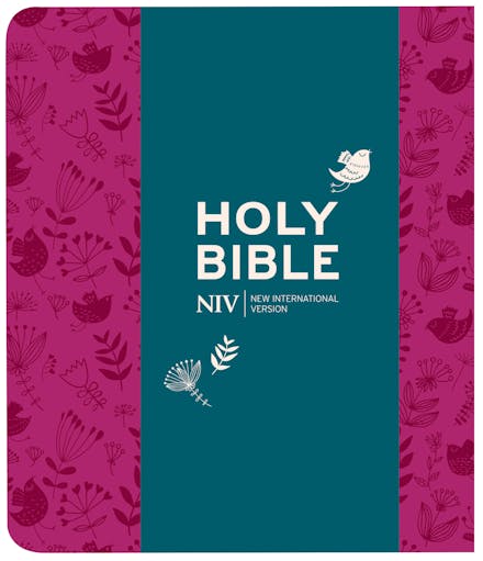 NIV Journalling Plum Soft-tone Bible with Clasp