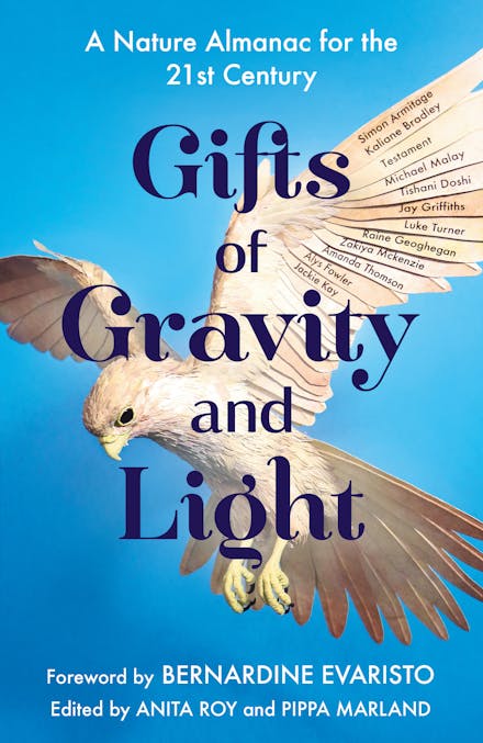 Gifts of Gravity and Light