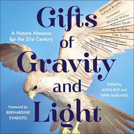 Gifts of Gravity and Light