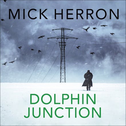 Dolphin Junction