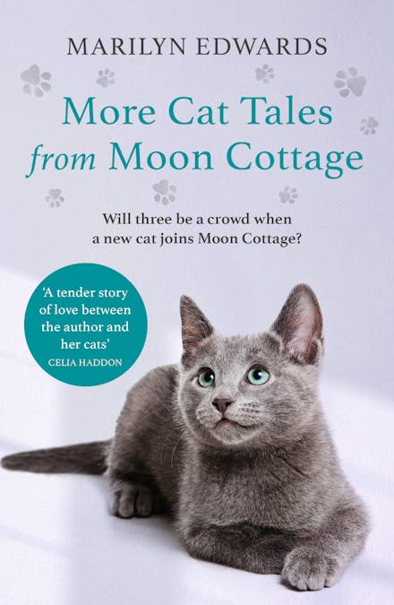 More Cat Tales From Moon Cottage
