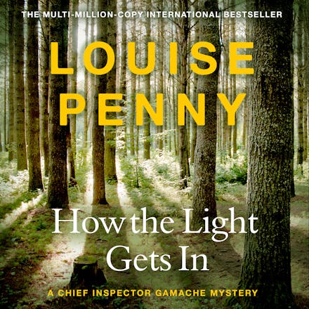 How The Light Gets In