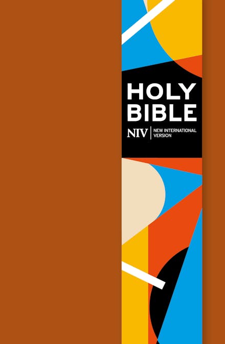NIV Pocket Brown Soft-tone Bible with Clasp (new edition)