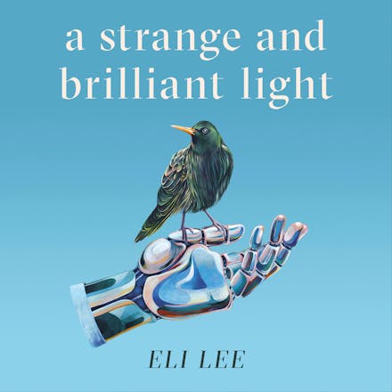 A Strange and Brilliant Light: Winner of the Writers  Guild Best First Novel Award
