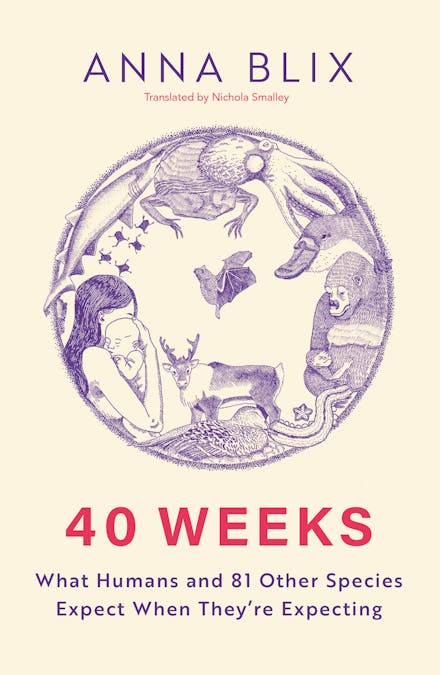 40 Weeks