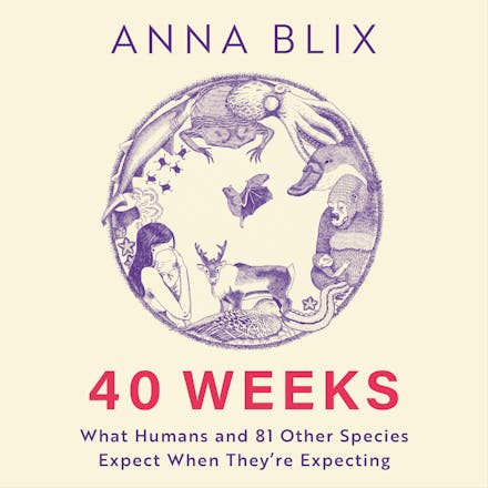 40 Weeks