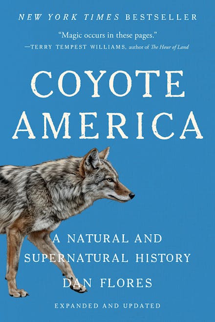 Coyote America